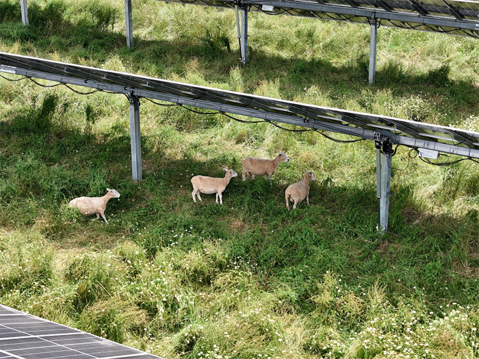 和记娱乐·H88(中国游)怡情博娱官网